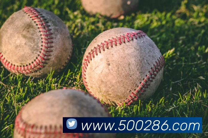 奖项证书